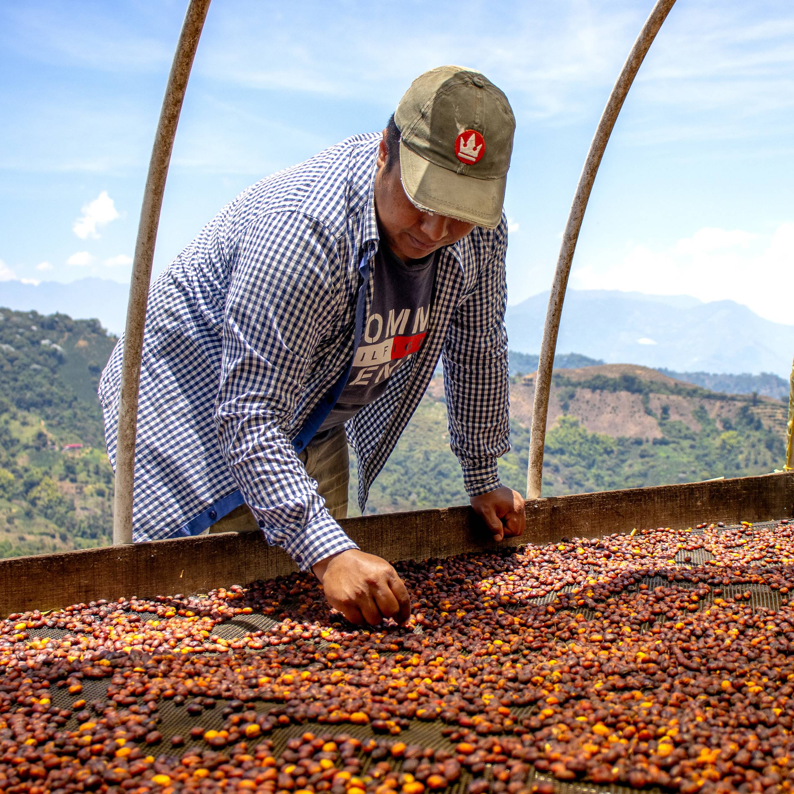 Alchemy Colombia