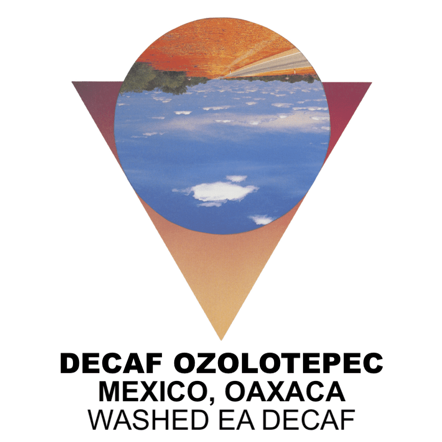 Ancoats Decaf Ozolotepec