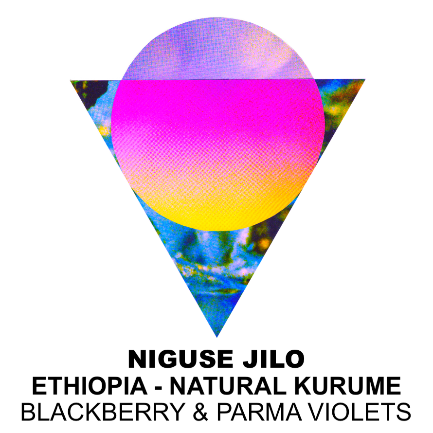 Ancoats Niguse Jilo