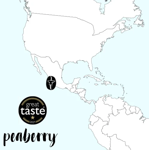 ANVIL Coffee Roasters Peaberry Mexican Mountain Water Decaf