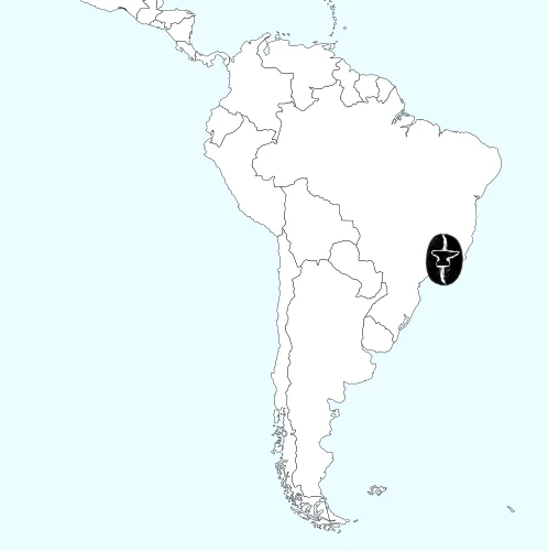 ANVIL Coffee Roasters Brazil Yellow Bourbon Natural Carbon Neutral
