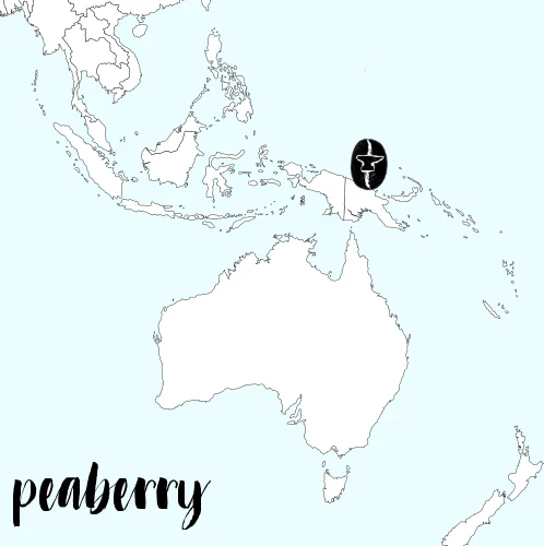ANVIL Coffee Roasters Peaberry Papua New Guinea Elimbari