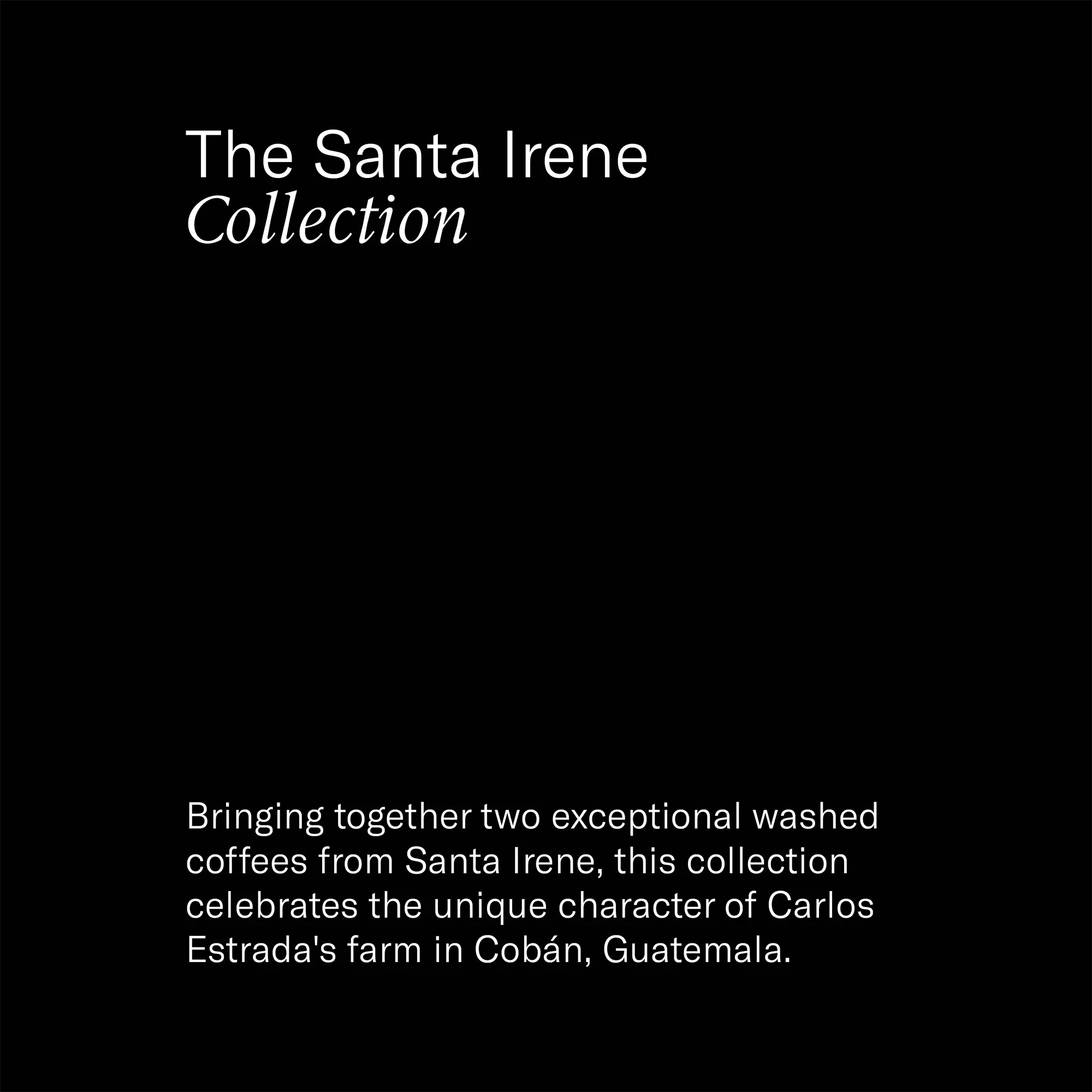 Assembly Coffee London The Santa Irene Collection