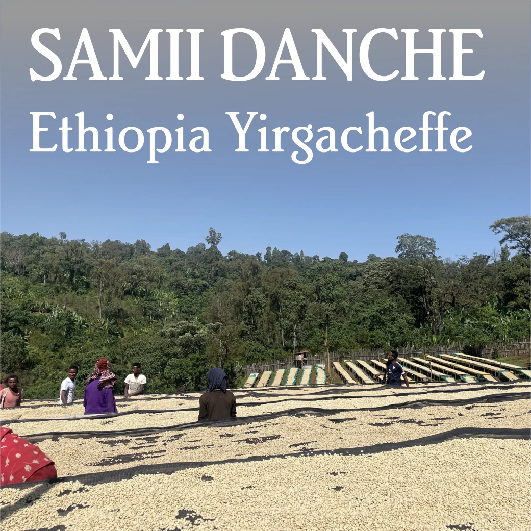 Beanberry Coffee Company Ethiopia Yirgacheffe Samii Danche
