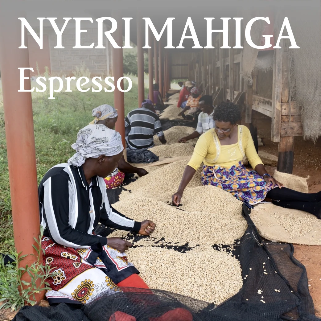 Beanberry Coffee Company Kenya Nyeri Mahiga Espresso