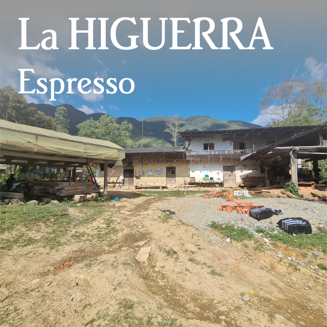 Beanberry Coffee Company Peru Cajamarca La Higuerra Espresso