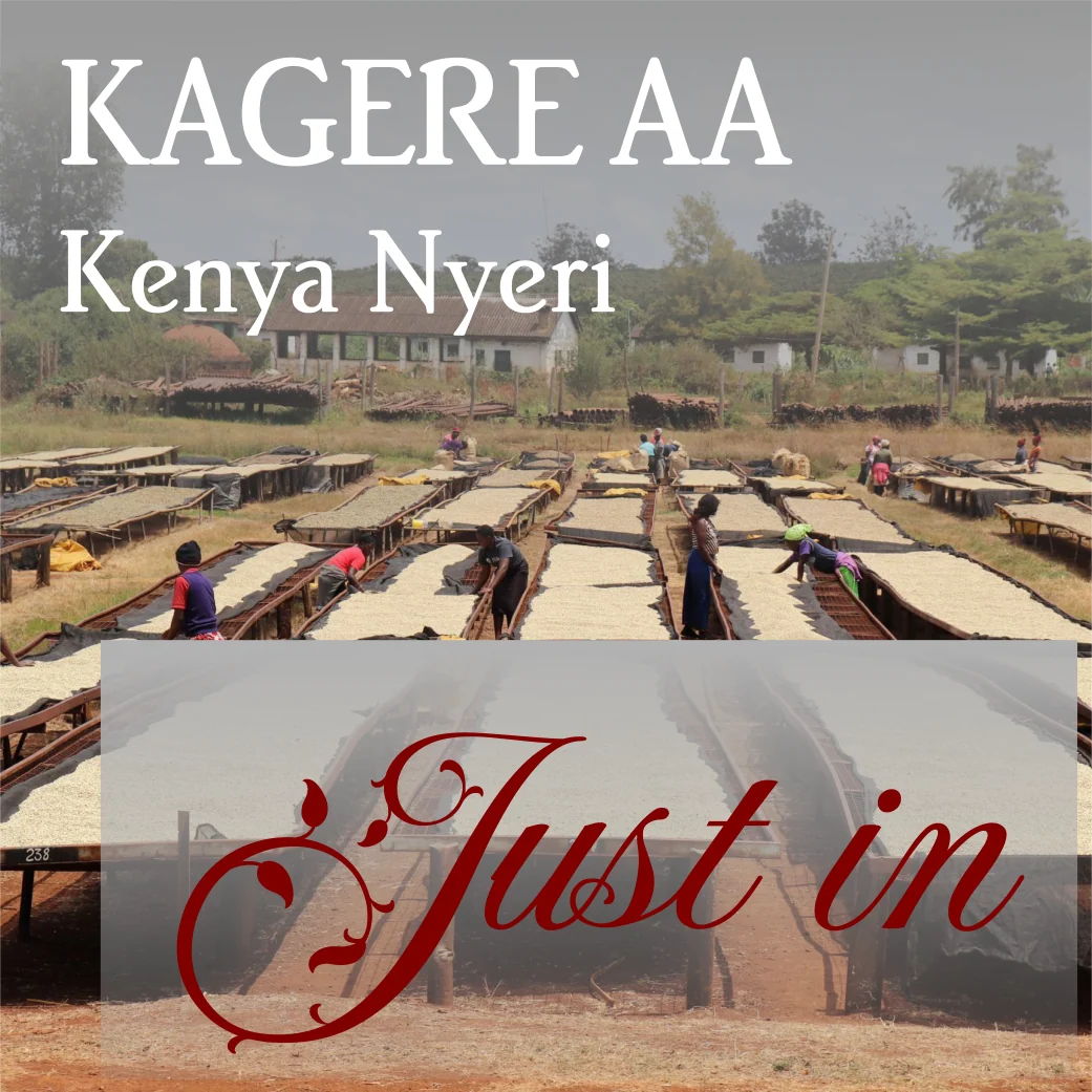 Beanberry Coffee Company Kenya Nyeri Kagere AA