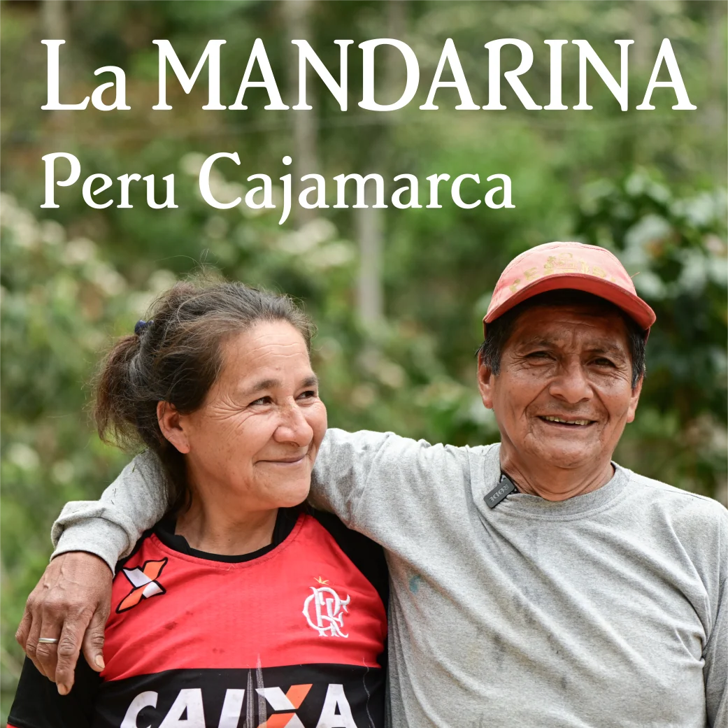 Beanberry Coffee Company Peru Cajamarca La Mandarina
