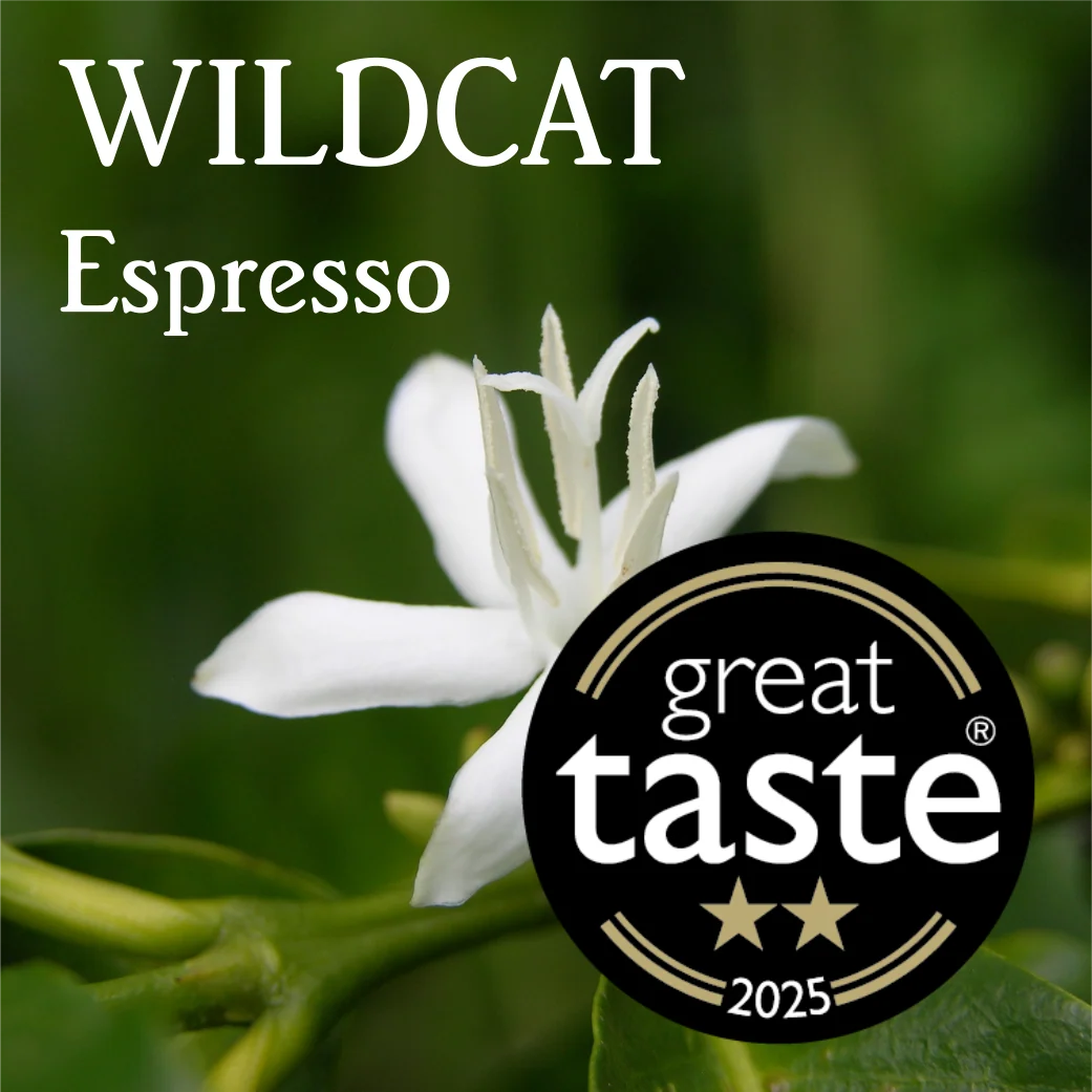 Beanberry Coffee Company Wildcat Espresso