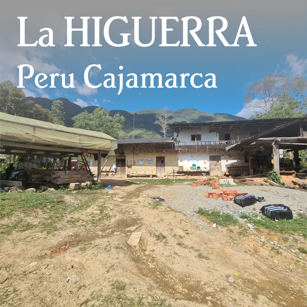 Beanberry Coffee Company Peru Cajamarca La Higuerra
