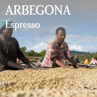 Beanberry Coffee Company Ethiopia Arbegona Espresso