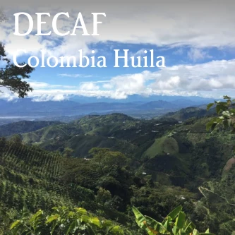 Beanberry Coffee Company Colombia Huila Sugarcane Decaf