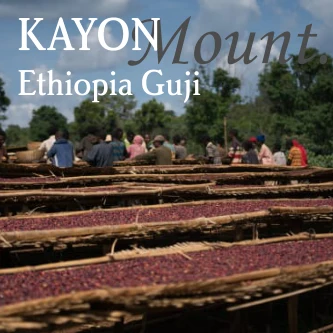 Beanberry Coffee Company Ethiopia Guji Kayon Mountain