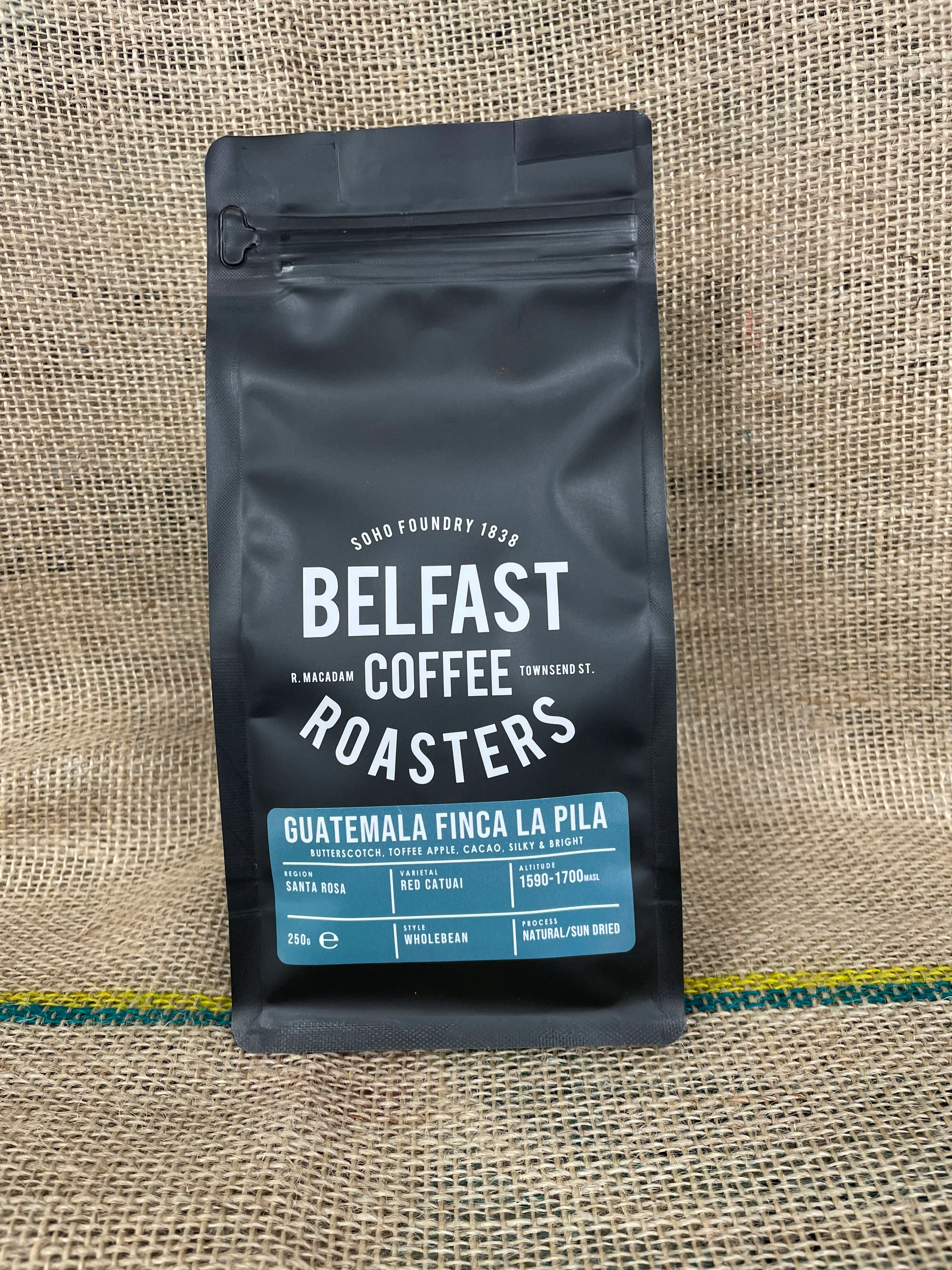 Belfast Coffee Roaster Guatemala Finca La Pila