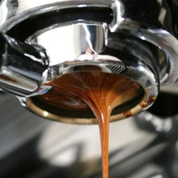 Coffee Compass Mahogany Roast Jampit Hit