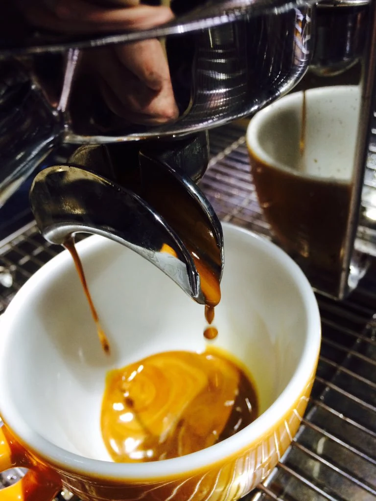Coffee Compass Mediterranean Mocha Espresso