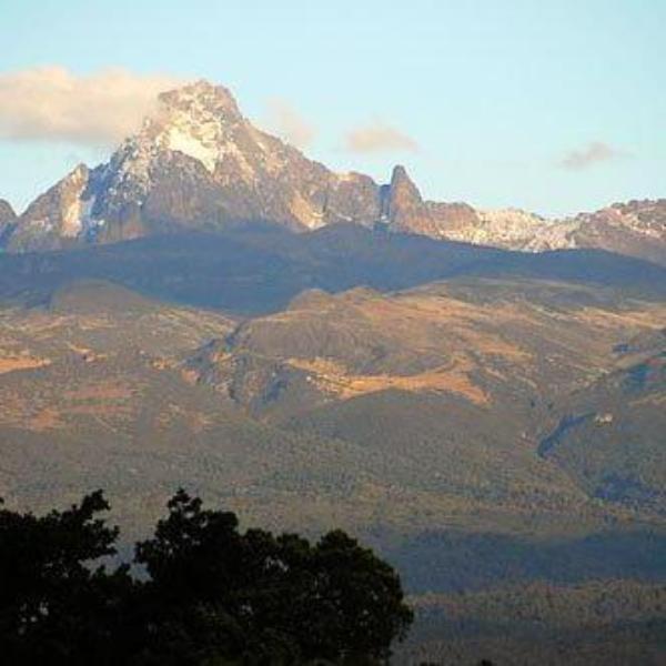 Coffee Compass Kenya AA Blue Mountain