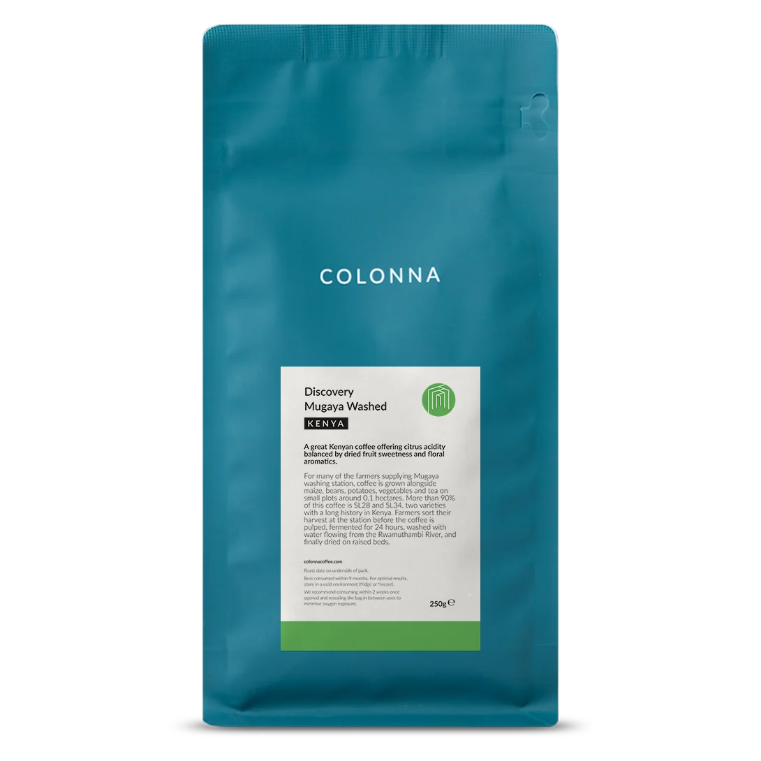 Colonna Discovery