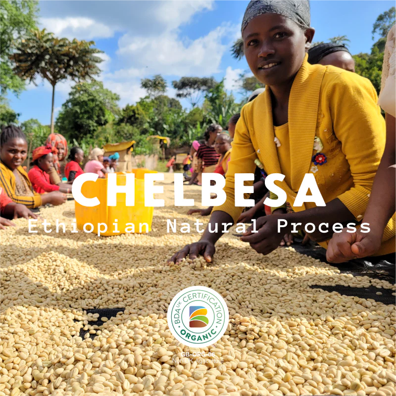 Devon Coffee Company Chelbesa