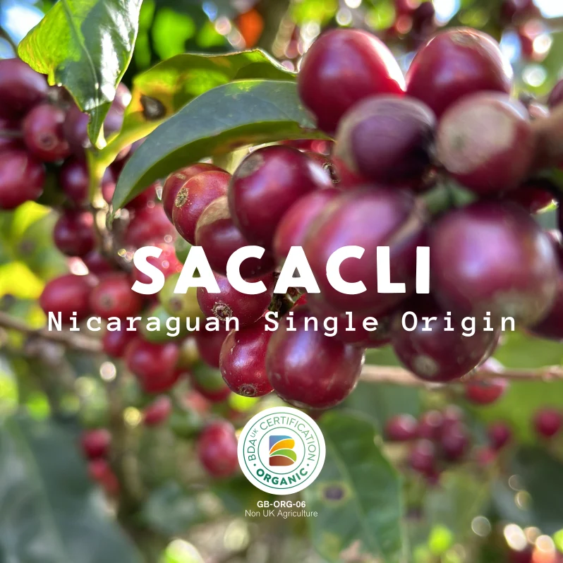 Devon Coffee Company Sacacli