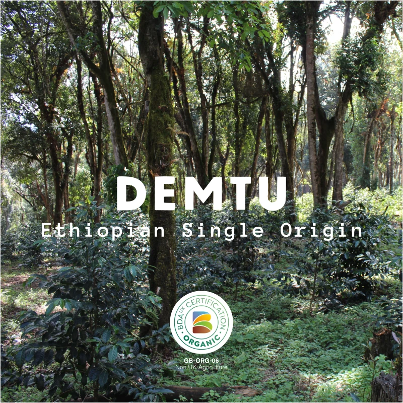 Devon Coffee Company Demtu