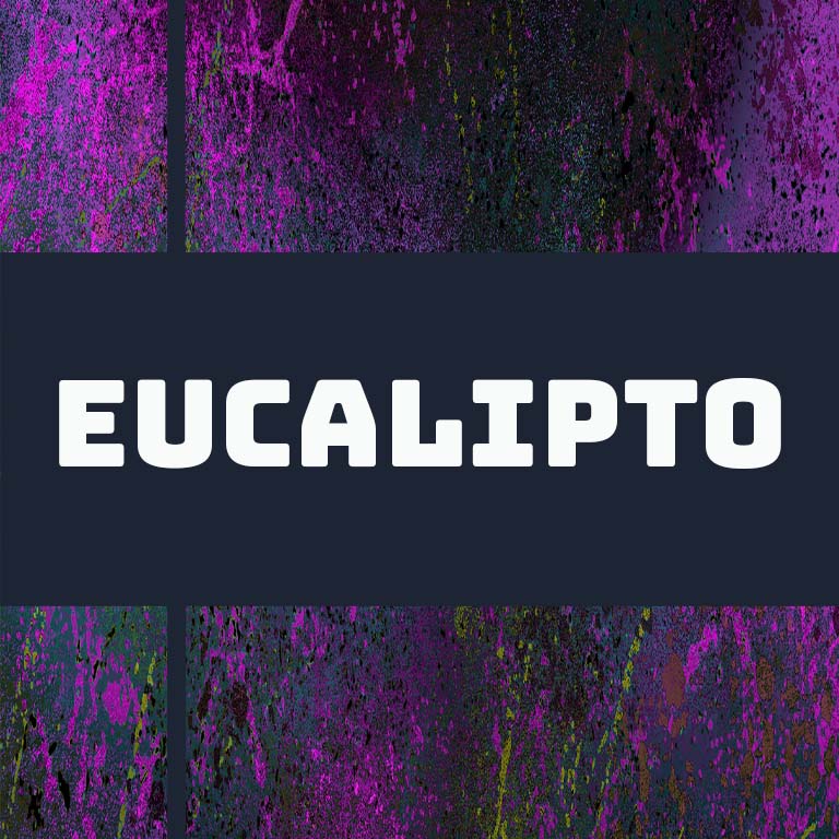 Django Coffee Co. Peru Eucalipto