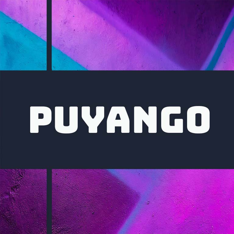 Django Coffee Co. Ecuador Puyango