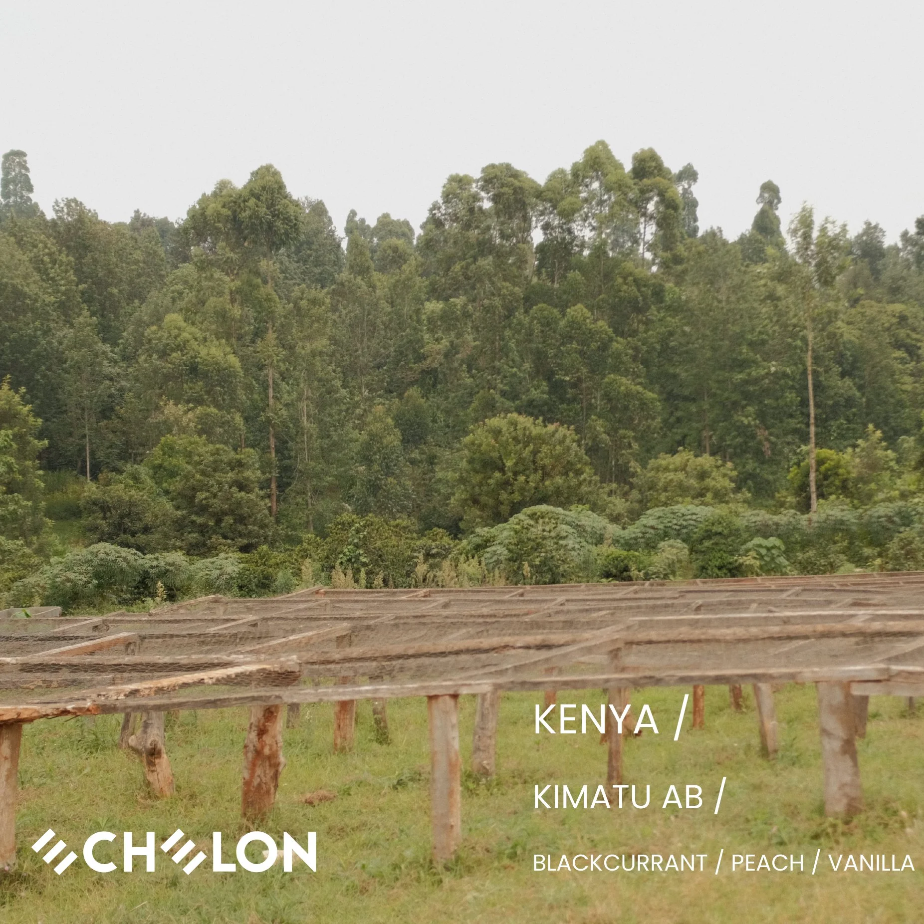Echelon Kenya