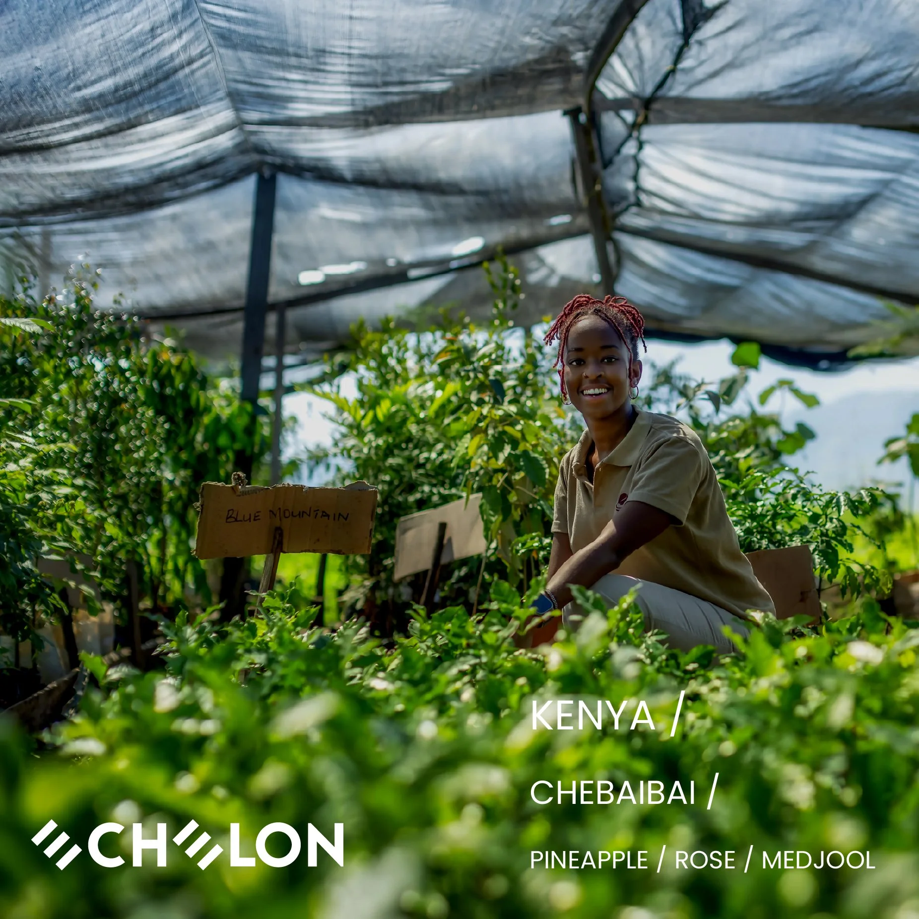 Echelon Kenya