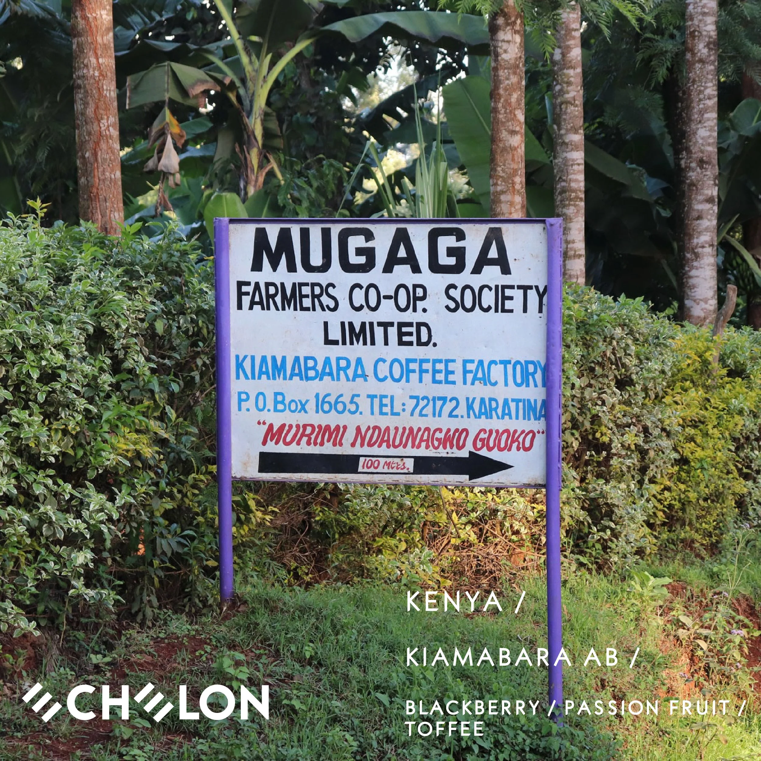 Echelon Kenya