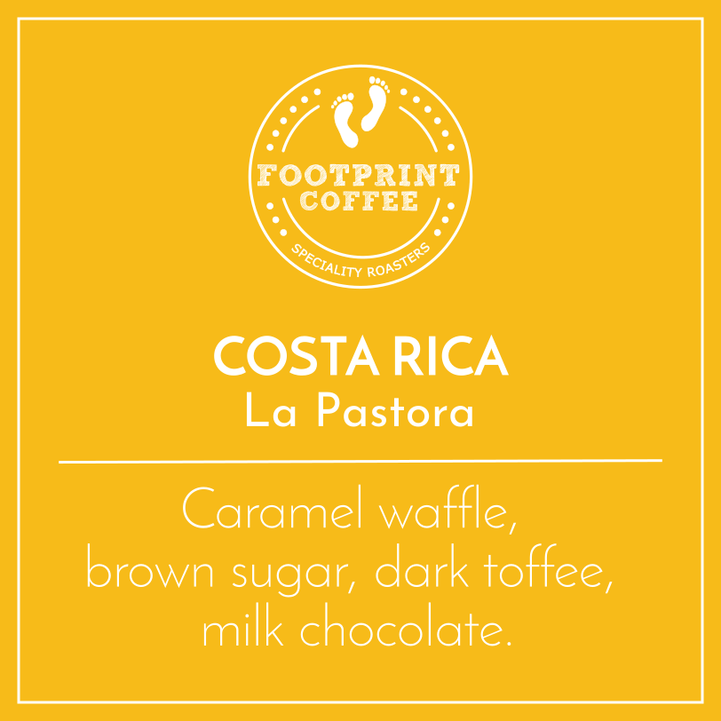 Footprint Coffee Costa Rica