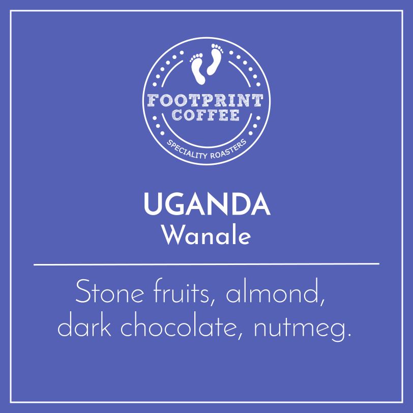 Footprint Coffee Uganda