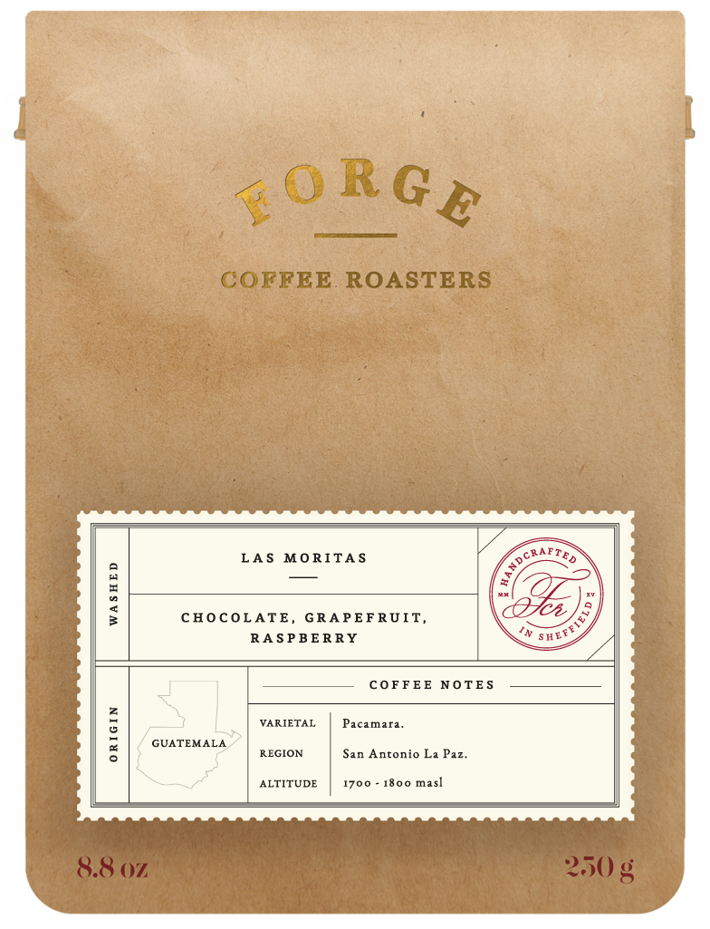 Forge Coffee Roasters Guatemala