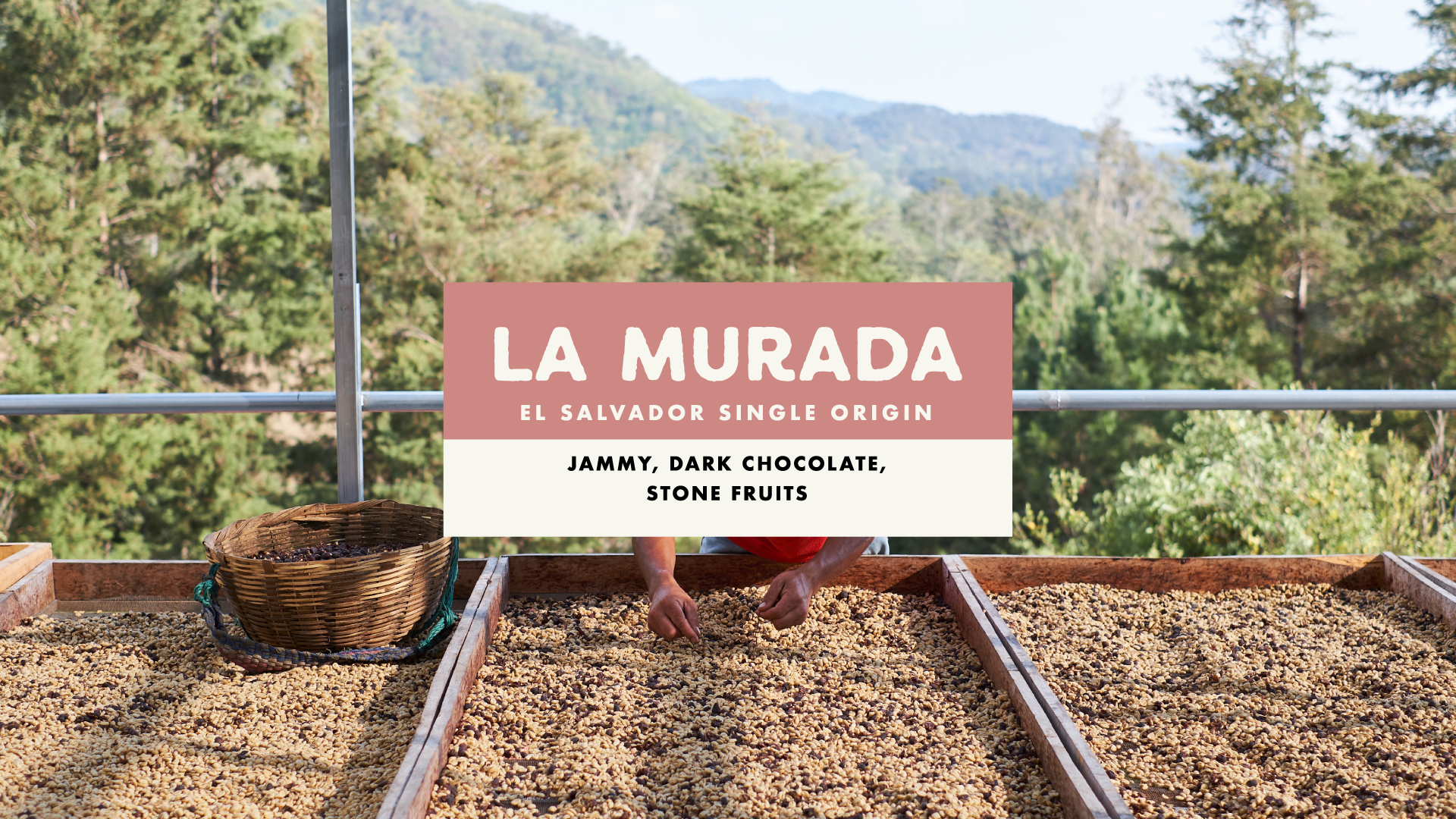 Foundation La Murada