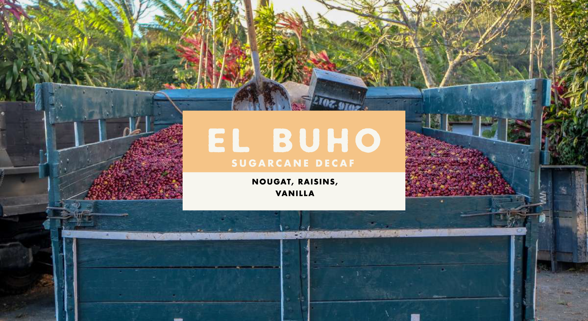Foundation El Buho