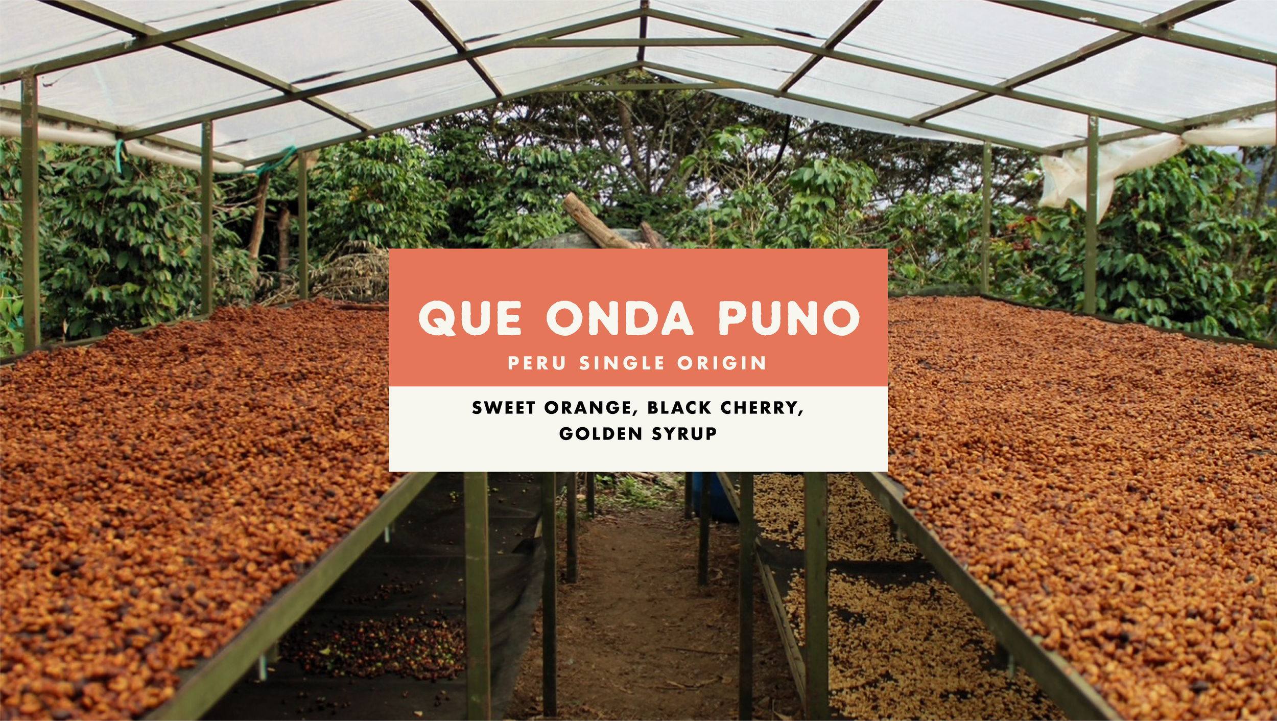 Foundation Que Onda Puno