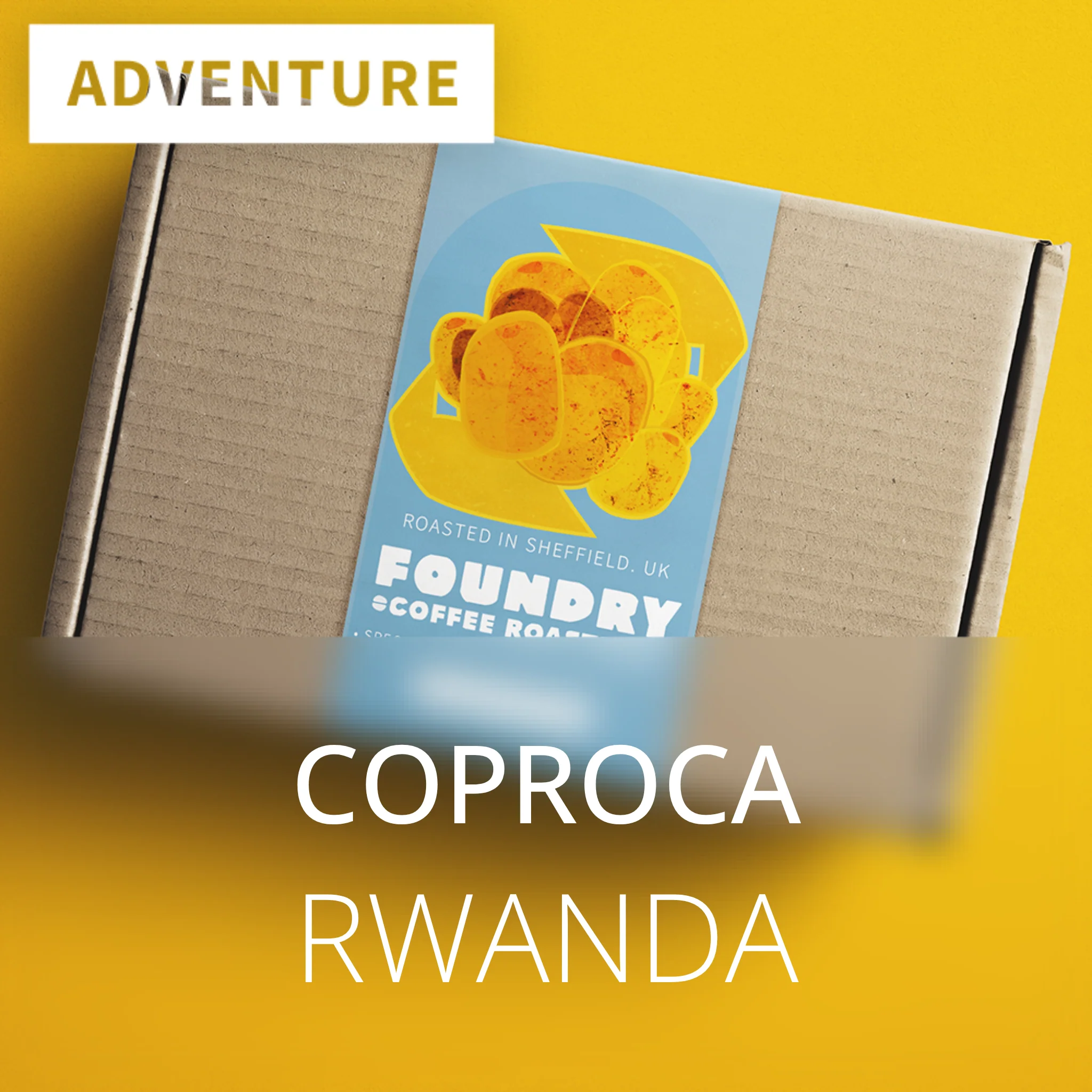 Foundry Coffee Roasters Coproca