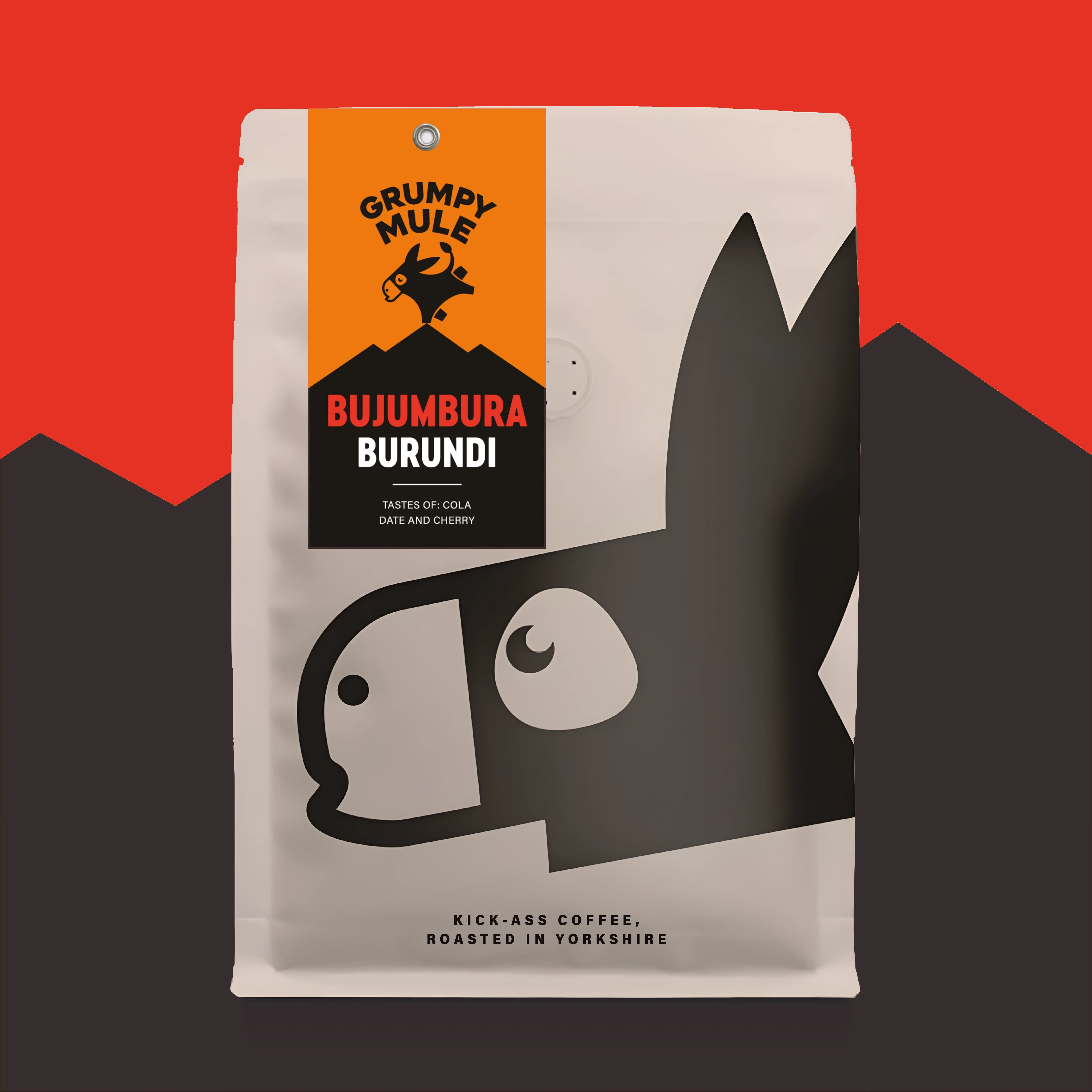 Grumpy Mule Mule's Pick Bujumbura Burundi