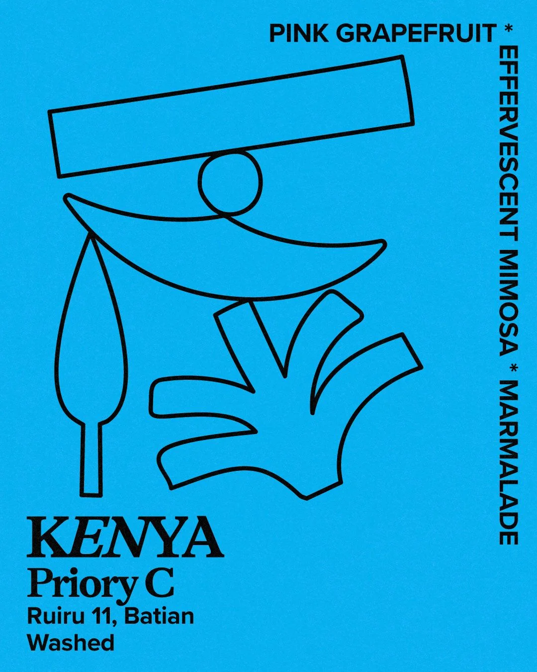 Hundred House Coffee Kenya