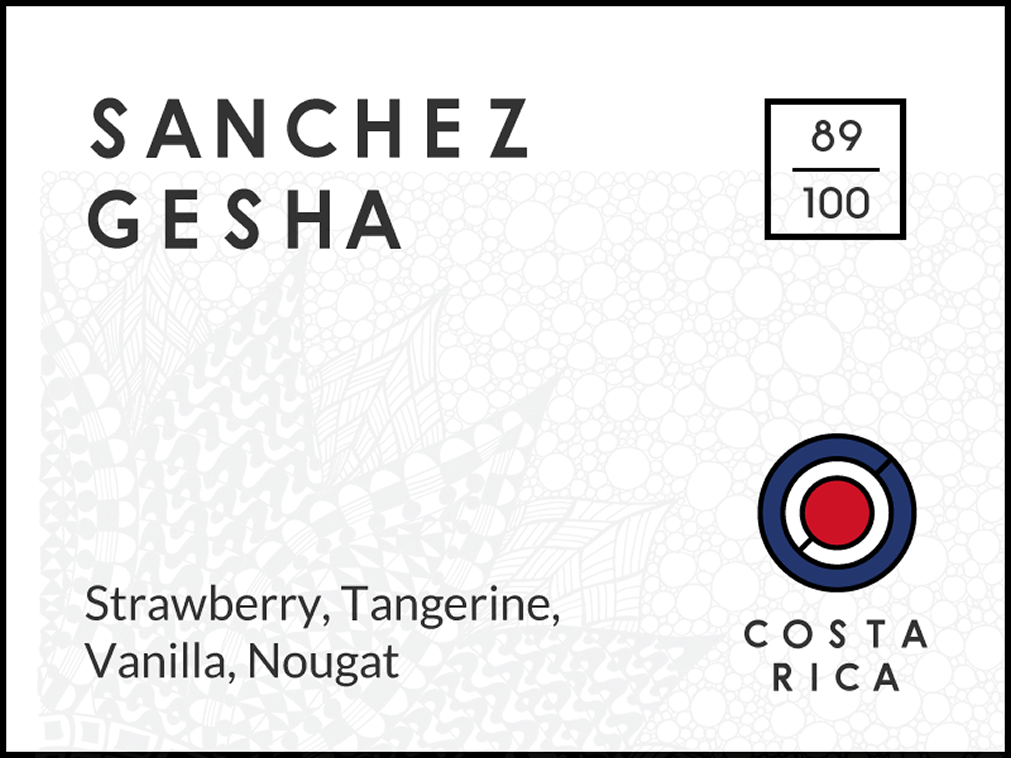 Long & Short Sanchez Gesha
