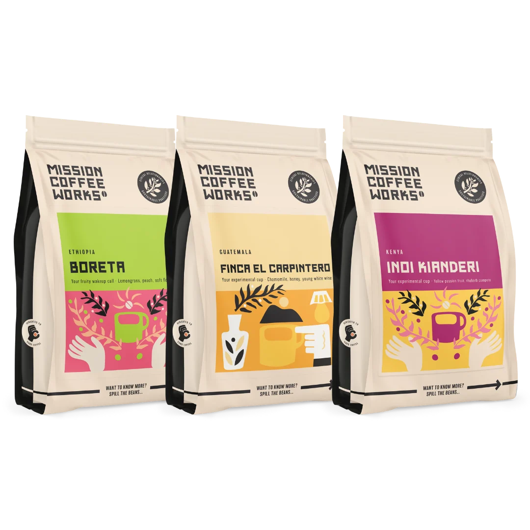 Mission Coffee Works Roaster's Filter Selection