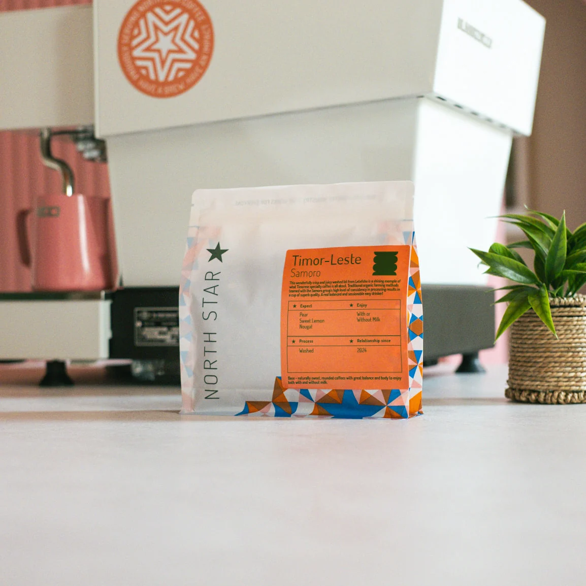northstarroast Timor-Leste Samoro Washed