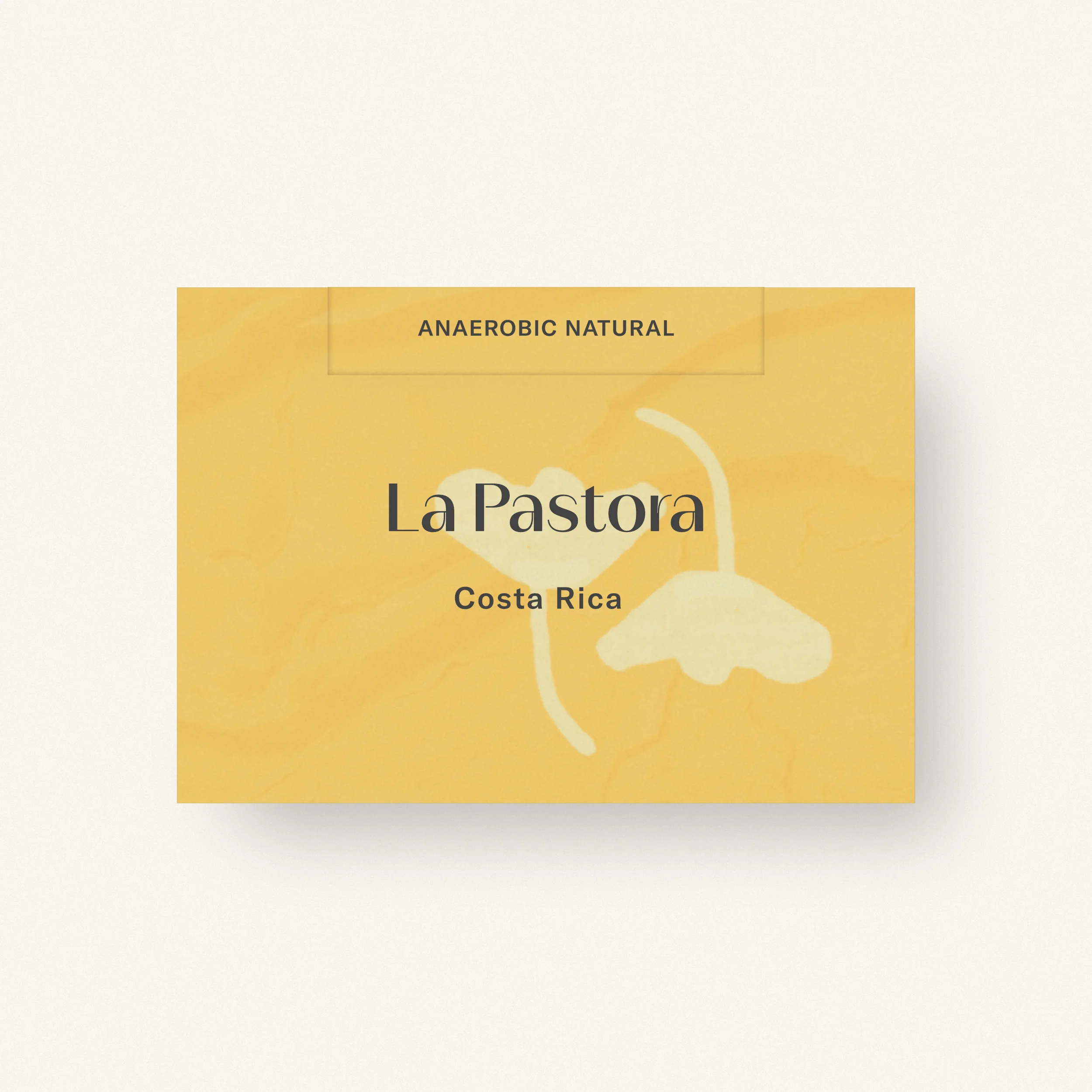 Obadiah Coffee La Pastora