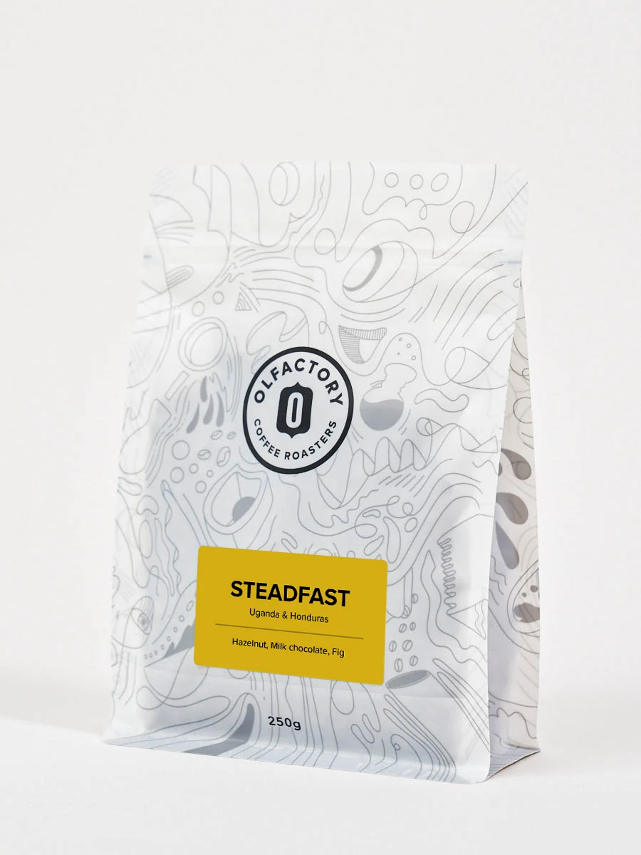 Olfactory Coffee Roasters Steadfast