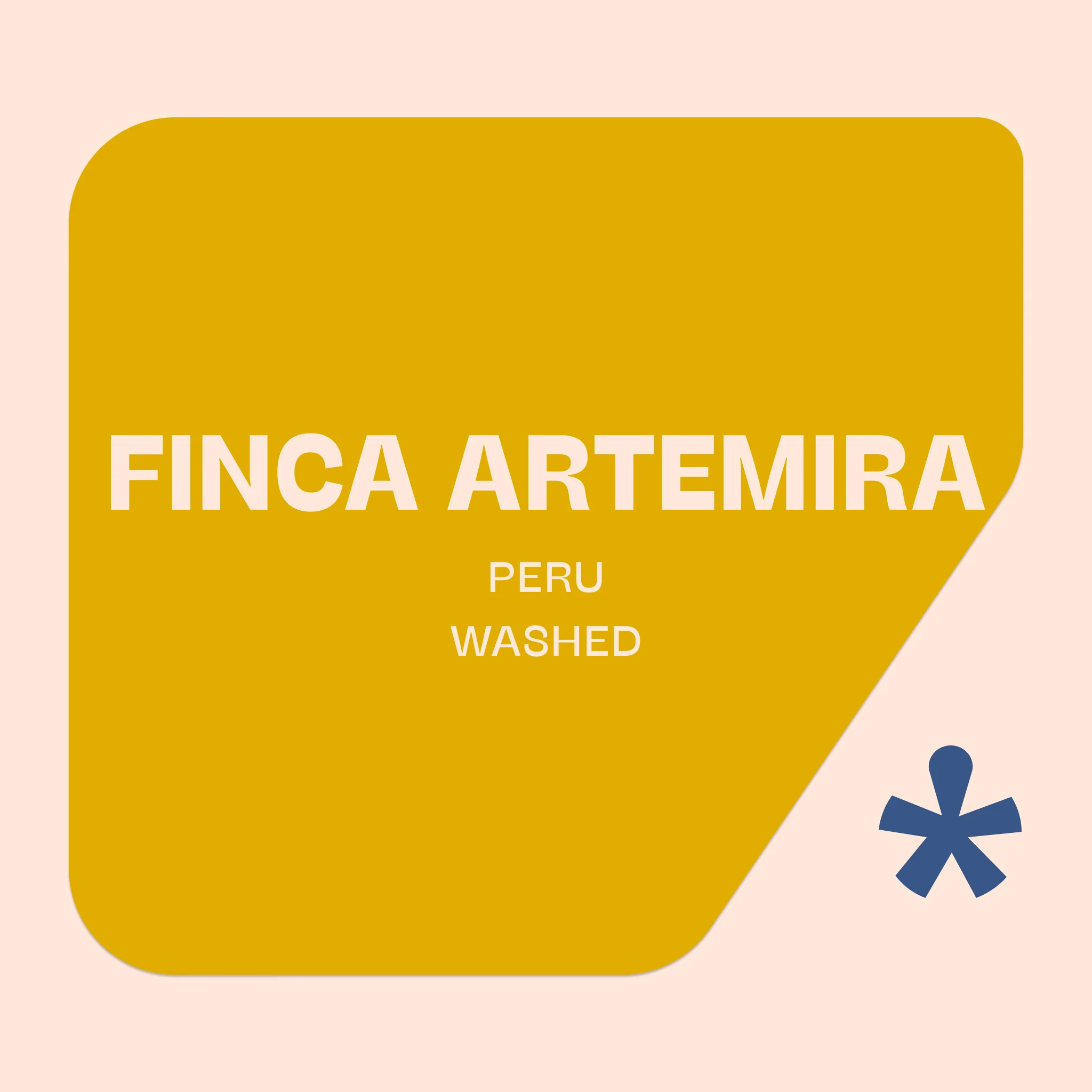 Pink Lane Coffee Collective Finca Artemira