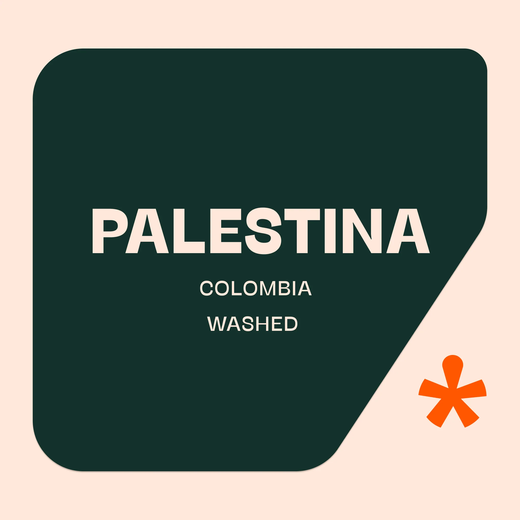 Pink Lane Coffee Colombia