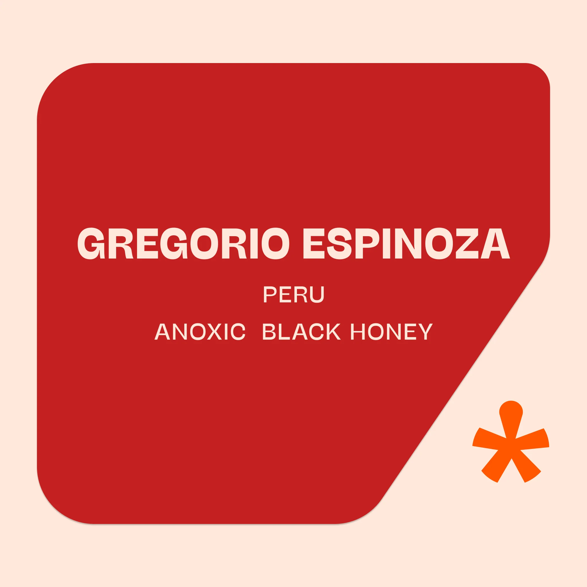 Pink Lane Coffee Collective Gregorio Espinoza