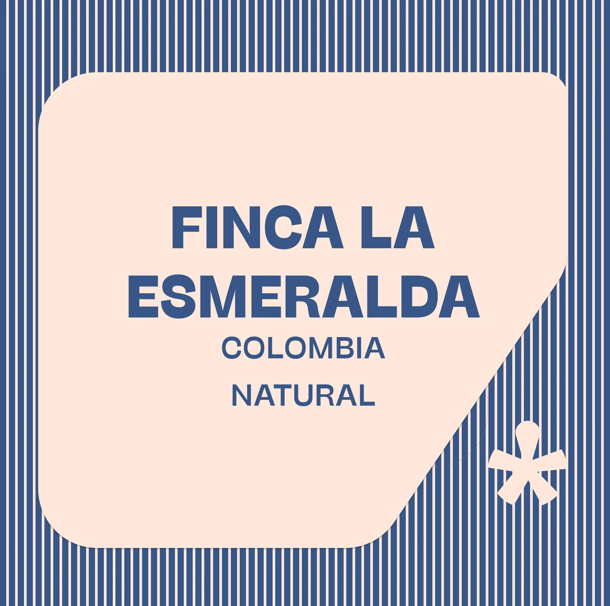 Pink Lane Coffee Finca La Esmerelda