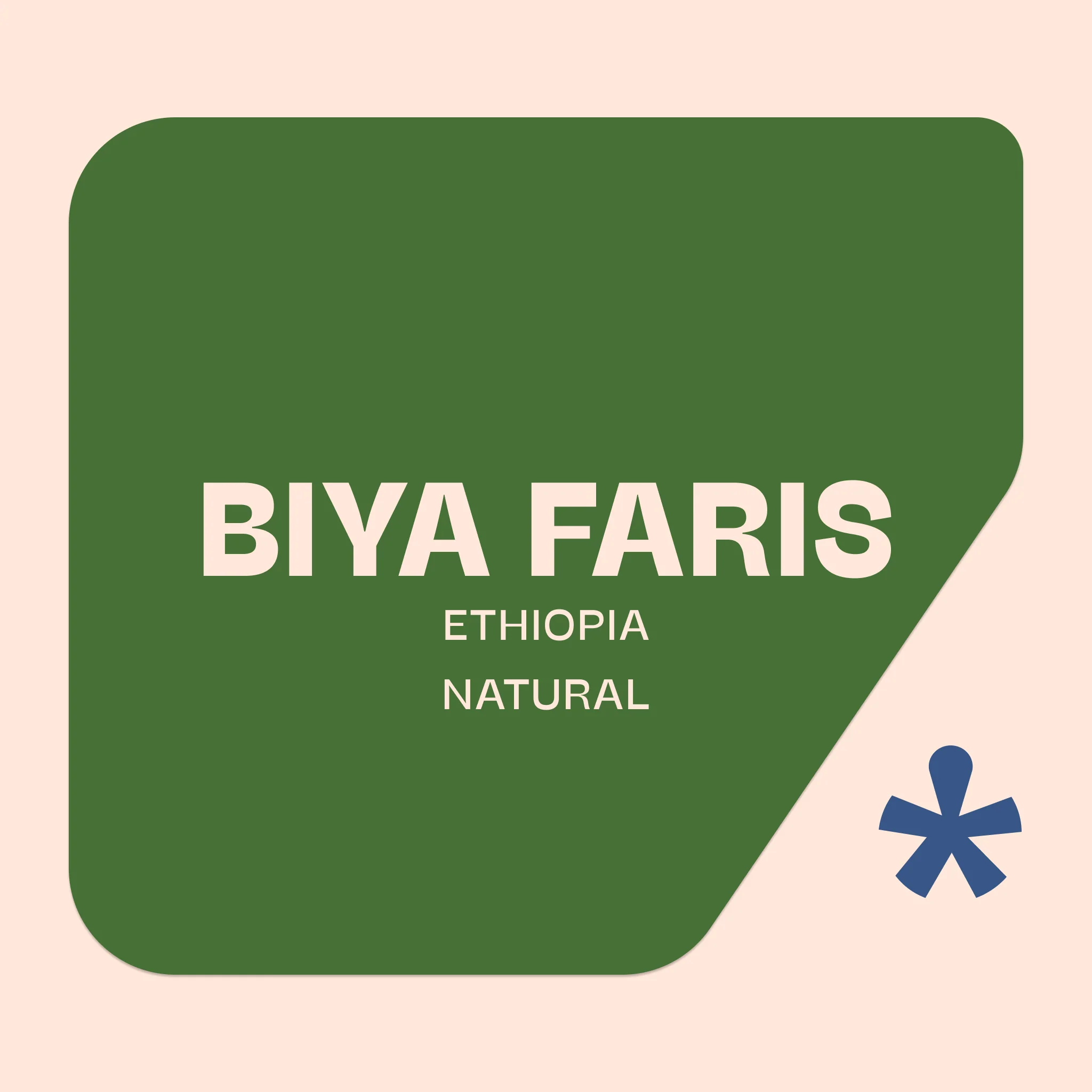 Pink Lane Coffee Biya Faris