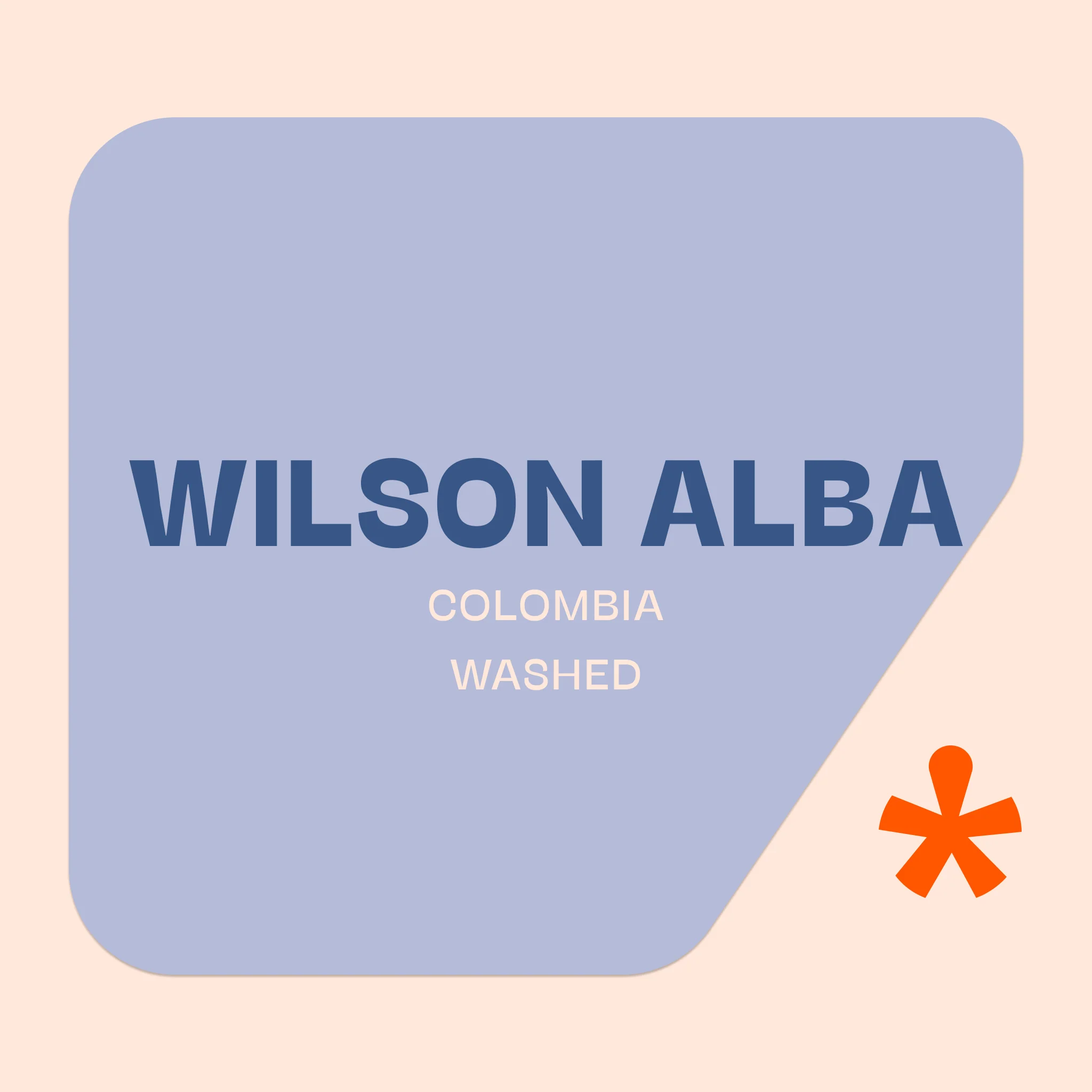 Pink Lane Coffee Wilson Alba